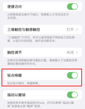 巨鹿苹果授权维修站分享iPhone轻点无法唤醒怎么办