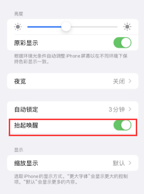 巨鹿苹果授权维修站分享iPhone轻点无法唤醒怎么办