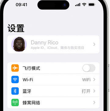 巨鹿appleID维修服务iPhone设置中Apple ID显示为灰色无法使用 