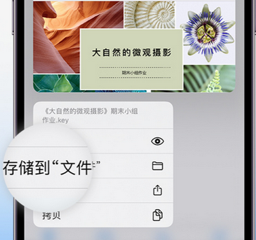 巨鹿apple维修中心分享iPhone文件应用中存储和找到下载文件