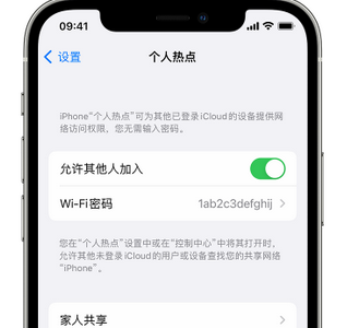 巨鹿apple服务站点分享iPhone上个人热点丢失了怎么办 