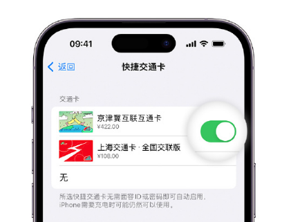 巨鹿apple维修点分享iPhone上更换Apple Pay快捷交通卡手绘卡面 