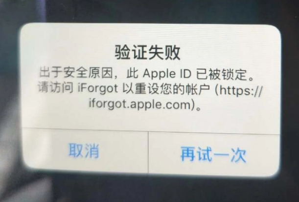 巨鹿iPhone维修分享iPhone上正常登录或使用AppleID怎么办 