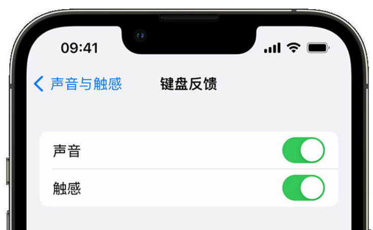 巨鹿苹果手机维修分享iPhone 14触感键盘使用方法 