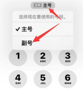 巨鹿苹果14维修店分享iPhone 14 Pro Max使用副卡打电话的方法 