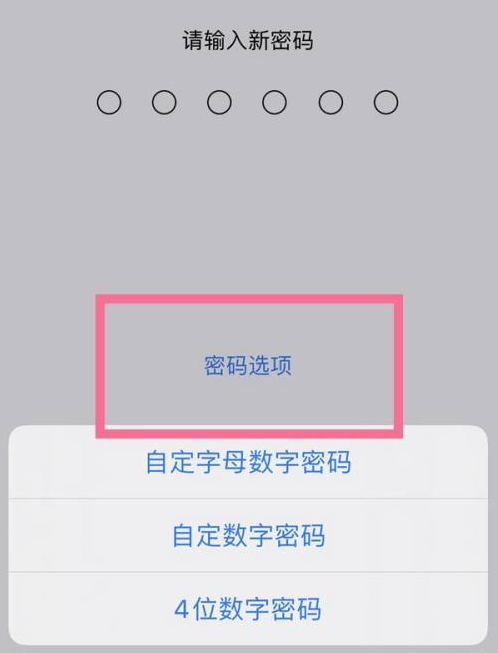 巨鹿苹果14维修分享iPhone 14plus设置密码的方法 