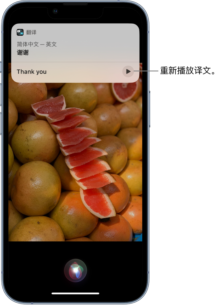 巨鹿苹果14维修分享 iPhone 14 机型中使用 Siri：了解 Siri 能帮你做什么 