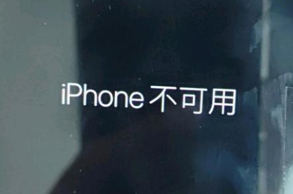 巨鹿苹果服务网点分享锁屏界面显示“iPhone 不可用”如何解决 