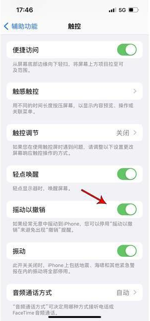 巨鹿苹果手机维修分享iPhone手机如何设置摇一摇删除文字 