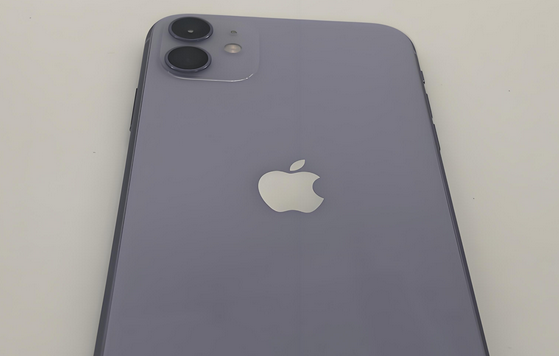 巨鹿苹果11系统维修分享iPhone11手机系统崩溃无法开机如何解决 